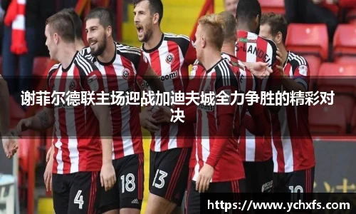 谢菲尔德联主场迎战加迪夫城全力争胜的精彩对决